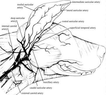 05a358632c9e67b05e8bf9861e564361_1776132329_4063.png 05a358632c9e67b05e8bf9861e564361_1776132329_4063.png