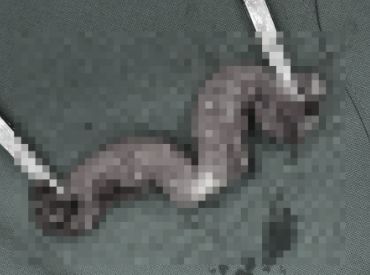 05a358632c9e67b05e8bf9861e564361_1776149575_7295.png