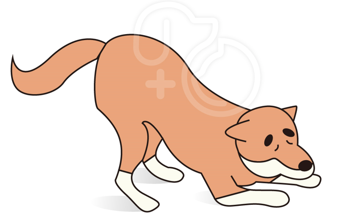 05a358632c9e67b05e8bf9861e564361_1776153833_4265.png