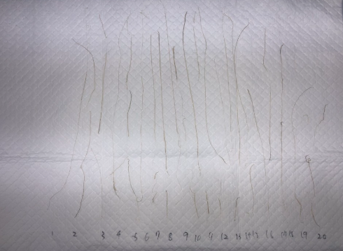 4407c7eb34184e2c345eb98b4a618b69_1776132667_3776.png 4407c7eb34184e2c345eb98b4a618b69_1776132667_3776.png