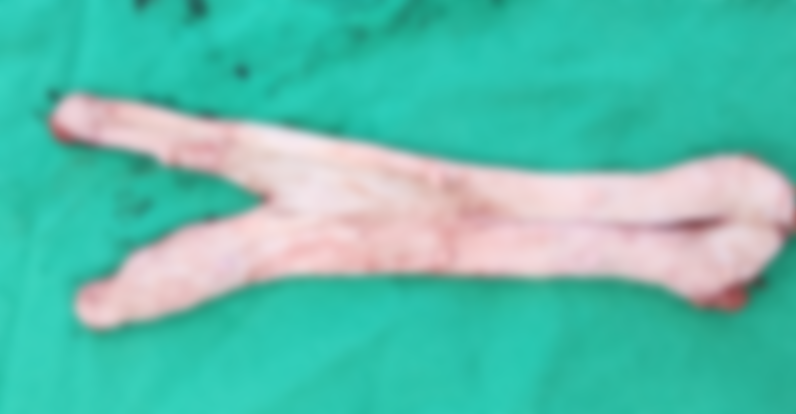 4407c7eb34184e2c345eb98b4a618b69_1776145262_0242.png 4407c7eb34184e2c345eb98b4a618b69_1776145262_0242.png