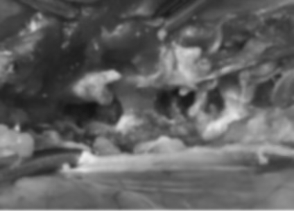4407c7eb34184e2c345eb98b4a618b69_1776215837_9.png