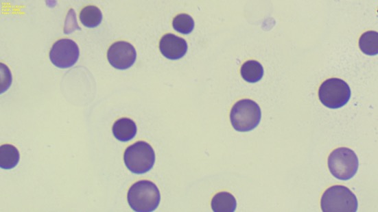 c0637e9a1ed42c50c04d57e5d015d160_1781753108_1328.jpeg c0637e9a1ed42c50c04d57e5d015d160_1781753108_1328.jpeg