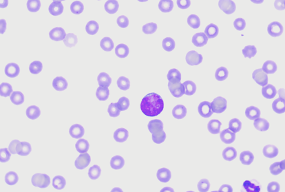 c0637e9a1ed42c50c04d57e5d015d160_1781763326_3587.png