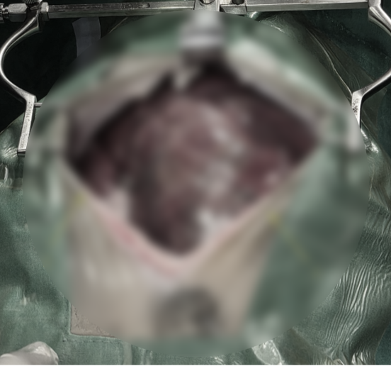 c3e1e24f8cf0b403ec31966fa7e1eb54_1781752932_1014.png c3e1e24f8cf0b403ec31966fa7e1eb54_1781752932_1014.png
