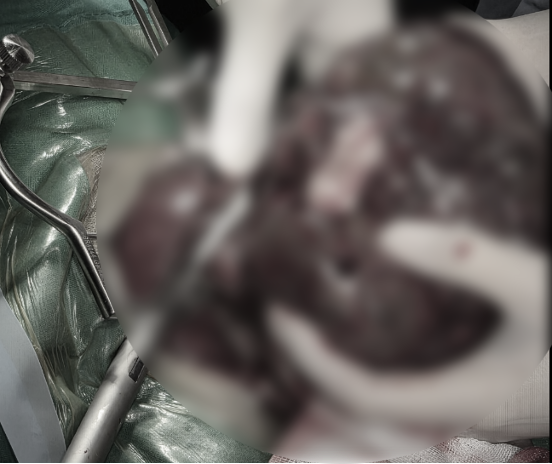 c3e1e24f8cf0b403ec31966fa7e1eb54_1781752961_7029.png c3e1e24f8cf0b403ec31966fa7e1eb54_1781752961_7029.png