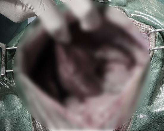c3e1e24f8cf0b403ec31966fa7e1eb54_1781752995_1687.png c3e1e24f8cf0b403ec31966fa7e1eb54_1781752995_1687.png