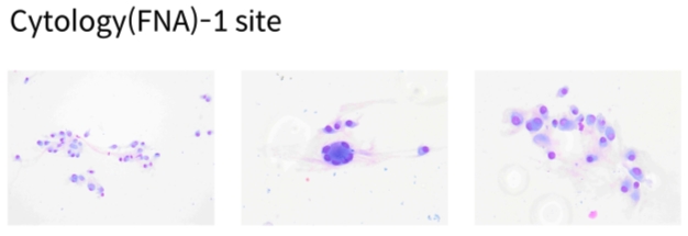 e7c6892f36f4ddfc2f653fc79f150e8a.png